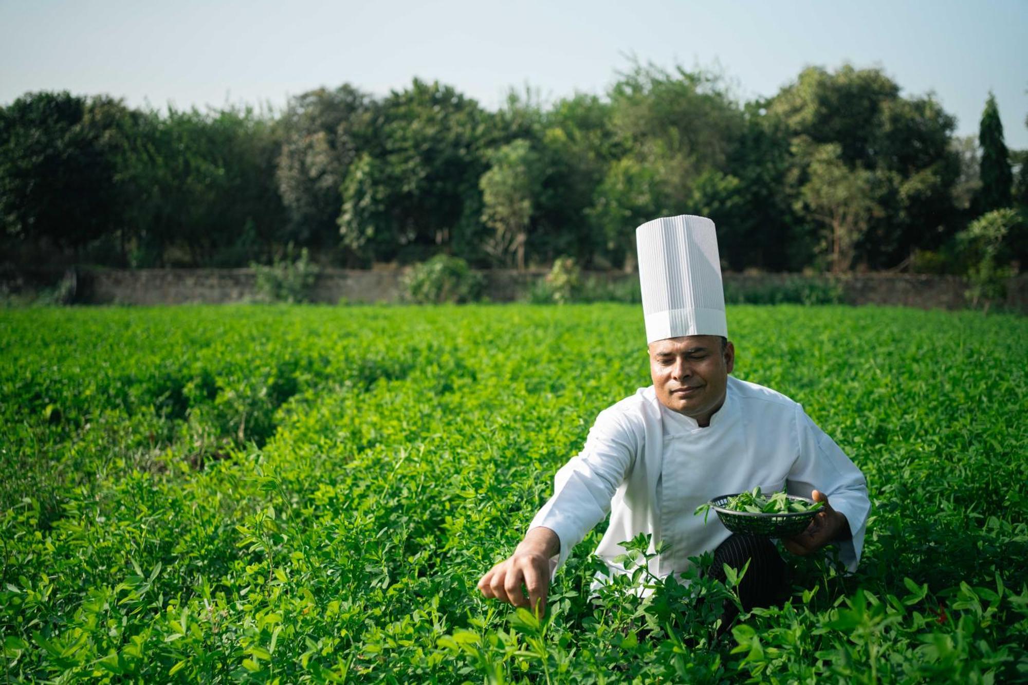 Abhyaran Resort & Spa Ranthambore Sawai Madhopur Eksteriør bilde