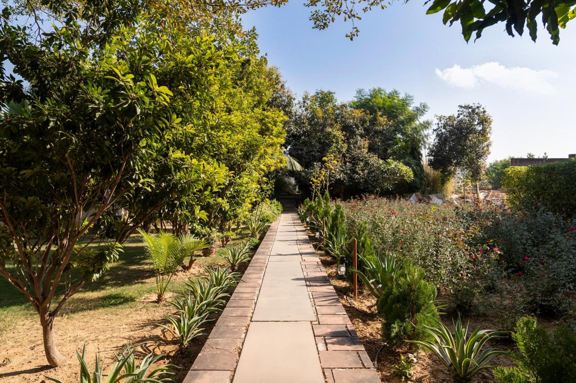 Abhyaran Resort & Spa Ranthambore Sawai Madhopur Eksteriør bilde